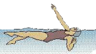 backstroke stroke 2