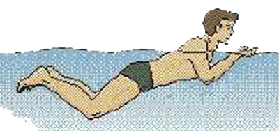 breaststroke stroke 3