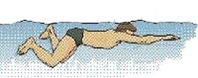 breaststroke stroke 4